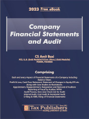Company Financial Statements and Audit, 2023